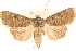  ( - CCDB-23275-B02)  @11 [ ] CreativeCommons - Attribution (2014) CBG Photography Group Centre for Biodiversity Genomics