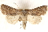  ( - CCDB-23275-C09)  @11 [ ] CreativeCommons - Attribution (2014) CBG Photography Group Centre for Biodiversity Genomics