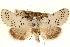  ( - CCDB-23275-G12)  @11 [ ] CreativeCommons - Attribution (2014) CBG Photography Group Centre for Biodiversity Genomics