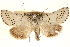  ( - CCDB-23275-H02)  @11 [ ] CreativeCommons - Attribution (2014) CBG Photography Group Centre for Biodiversity Genomics