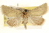  ( - CCDB-23275-H10)  @11 [ ] CreativeCommons - Attribution (2014) CBG Photography Group Centre for Biodiversity Genomics
