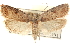  ( - CCDB-23276-A07)  @11 [ ] CreativeCommons - Attribution (2014) CBG Photography Group Centre for Biodiversity Genomics