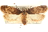  ( - CCDB-23276-D10)  @11 [ ] CreativeCommons - Attribution (2014) CBG Photography Group Centre for Biodiversity Genomics