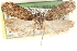  ( - CCDB-23276-E04)  @14 [ ] CreativeCommons - Attribution (2014) CBG Photography Group Centre for Biodiversity Genomics
