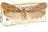  ( - CCDB-23276-E07)  @11 [ ] CreativeCommons - Attribution (2014) CBG Photography Group Centre for Biodiversity Genomics