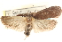  ( - CCDB-23276-E12)  @14 [ ] CreativeCommons - Attribution (2014) CBG Photography Group Centre for Biodiversity Genomics