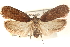  ( - CCDB-23276-F03)  @15 [ ] CreativeCommons - Attribution (2014) CBG Photography Group Centre for Biodiversity Genomics