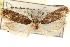  ( - CCDB-23276-F12)  @14 [ ] CreativeCommons - Attribution (2014) CBG Photography Group Centre for Biodiversity Genomics