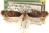 ( - CCDB-23276-G02)  @14 [ ] CreativeCommons - Attribution (2014) CBG Photography Group Centre for Biodiversity Genomics