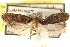  ( - CCDB-23276-G04)  @14 [ ] CreativeCommons - Attribution (2014) CBG Photography Group Centre for Biodiversity Genomics