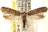  ( - CCDB-23276-H11)  @11 [ ] CreativeCommons - Attribution (2014) CBG Photography Group Centre for Biodiversity Genomics