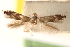  ( - CCDB-23277-C05)  @11 [ ] CreativeCommons - Attribution (2014) CBG Photography Group Centre for Biodiversity Genomics