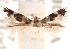  ( - CCDB-23277-E05)  @11 [ ] CreativeCommons - Attribution (2014) CBG Photography Group Centre for Biodiversity Genomics