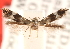  ( - CCDB-23277-E06)  @11 [ ] CreativeCommons - Attribution (2014) CBG Photography Group Centre for Biodiversity Genomics