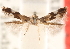  ( - CCDB-23277-E07)  @11 [ ] CreativeCommons - Attribution (2014) CBG Photography Group Centre for Biodiversity Genomics