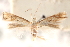  ( - CCDB-23277-E11)  @11 [ ] CreativeCommons - Attribution (2014) CBG Photography Group Centre for Biodiversity Genomics