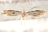  ( - CCDB-23277-E12)  @11 [ ] CreativeCommons - Attribution (2014) CBG Photography Group Centre for Biodiversity Genomics