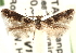  ( - CCDB-23278-A01)  @11 [ ] CreativeCommons - Attribution (2015) CBG Photography Group Centre for Biodiversity Genomics