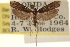  ( - CCDB-23278-E09)  @11 [ ] CreativeCommons - Attribution (2015) CBG Photography Group Centre for Biodiversity Genomics