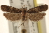  ( - CCDB-23278-E11)  @12 [ ] CreativeCommons - Attribution (2015) CBG Photography Group Centre for Biodiversity Genomics