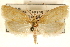  ( - CCDB-23278-G12)  @11 [ ] CreativeCommons - Attribution (2015) CBG Photography Group Centre for Biodiversity Genomics