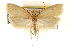  ( - CCDB-23278-H01)  @11 [ ] CreativeCommons - Attribution (2015) CBG Photography Group Centre for Biodiversity Genomics