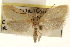  ( - CCDB-23278-H03)  @14 [ ] CreativeCommons - Attribution (2015) CBG Photography Group Centre for Biodiversity Genomics