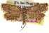  ( - CCDB-23278-H05)  @11 [ ] CreativeCommons - Attribution (2015) CBG Photography Group Centre for Biodiversity Genomics