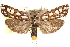  ( - CCDB-23279-A05)  @11 [ ] CreativeCommons - Attribution (2014) CBG Photography Group Centre for Biodiversity Genomics