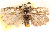  ( - CCDB-23279-A06)  @11 [ ] CreativeCommons - Attribution (2014) CBG Photography Group Centre for Biodiversity Genomics