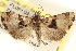  ( - CCDB-23279-A12)  @11 [ ] CreativeCommons - Attribution (2014) CBG Photography Group Centre for Biodiversity Genomics