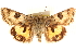  ( - CCDB-23279-B10)  @11 [ ] CreativeCommons - Attribution (2014) CBG Photography Group Centre for Biodiversity Genomics