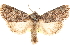  ( - CCDB-23279-C07)  @11 [ ] CreativeCommons - Attribution (2014) CBG Photography Group Centre for Biodiversity Genomics