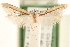  ( - CCDB-23280-E06)  @11 [ ] CreativeCommons - Attribution (2015) CBG Photography Group Centre for Biodiversity Genomics