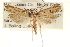  ( - CCDB-23281-A10)  @11 [ ] CreativeCommons - Attribution (2015) CBG Photography Group Centre for Biodiversity Genomics