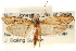  ( - CCDB-23281-A12)  @11 [ ] CreativeCommons - Attribution (2015) CBG Photography Group Centre for Biodiversity Genomics