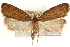  ( - CCDB-23281-B04)  @11 [ ] CreativeCommons - Attribution (2015) CBG Photography Group Centre for Biodiversity Genomics