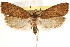  ( - CCDB-23281-B05)  @11 [ ] CreativeCommons - Attribution (2015) CBG Photography Group Centre for Biodiversity Genomics