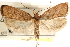  ( - CCDB-23281-B08)  @11 [ ] CreativeCommons - Attribution (2015) CBG Photography Group Centre for Biodiversity Genomics