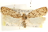  ( - CCDB-23281-B09)  @12 [ ] CreativeCommons - Attribution (2015) CBG Photography Group Centre for Biodiversity Genomics