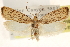  ( - CCDB-23281-B10)  @13 [ ] CreativeCommons - Attribution (2015) CBG Photography Group Centre for Biodiversity Genomics