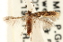  ( - CCDB-23281-B11)  @11 [ ] CreativeCommons - Attribution (2015) CBG Photography Group Centre for Biodiversity Genomics