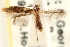  ( - CCDB-23281-B12)  @13 [ ] CreativeCommons - Attribution (2015) CBG Photography Group Centre for Biodiversity Genomics