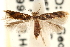  ( - CCDB-23281-C02)  @14 [ ] CreativeCommons - Attribution (2015) CBG Photography Group Centre for Biodiversity Genomics