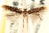  ( - CCDB-23281-C03)  @14 [ ] CreativeCommons - Attribution (2015) CBG Photography Group Centre for Biodiversity Genomics