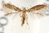  ( - CCDB-23281-D04)  @11 [ ] CreativeCommons - Attribution (2015) CBG Photography Group Centre for Biodiversity Genomics