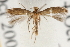  ( - CCDB-23281-D05)  @11 [ ] CreativeCommons - Attribution (2015) CBG Photography Group Centre for Biodiversity Genomics