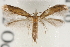  ( - CCDB-23281-D06)  @11 [ ] CreativeCommons - Attribution (2015) CBG Photography Group Centre for Biodiversity Genomics