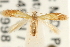  ( - CCDB-23281-E07)  @11 [ ] CreativeCommons - Attribution (2015) CBG Photography Group Centre for Biodiversity Genomics
