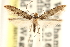  ( - CCDB-23281-G04)  @11 [ ] CreativeCommons - Attribution (2015) CBG Photography Group Centre for Biodiversity Genomics